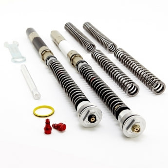 Front Fork Cartridges DDS Triumph Street Triple 765RS