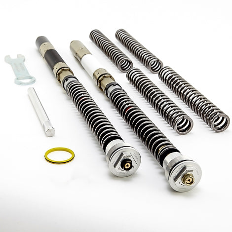 Front Fork Cartridges DDS Ducati Panigale V4R Ohlins
