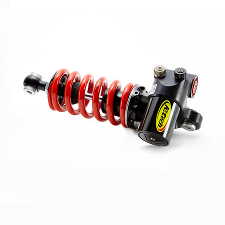 Shock Absorber DDS Lite Triumph Daytona 675/675-R 2013>