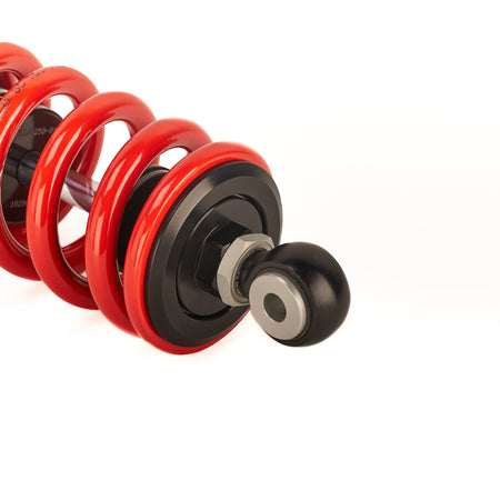 Shock Absorber DDS Lite Triumph Street Triple 765 RS