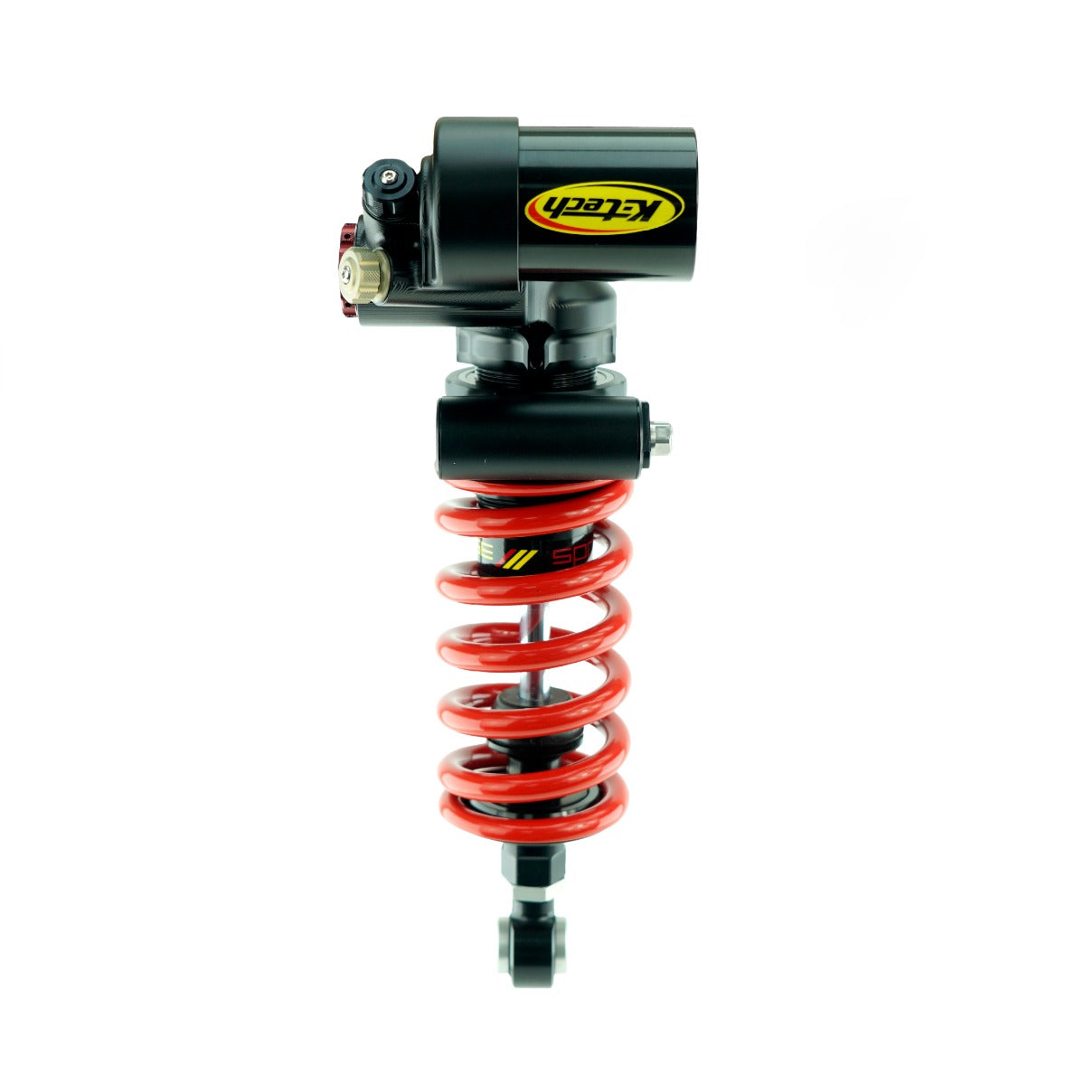 RCU DDS PRO Triumph Daytona 660 PHR LINK