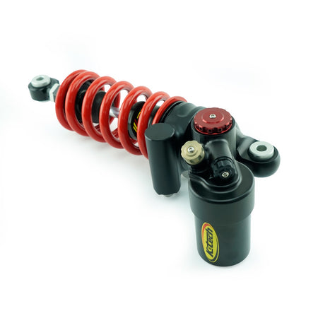 RCU DDS PRO Triumph Daytona 660 PHR LINK