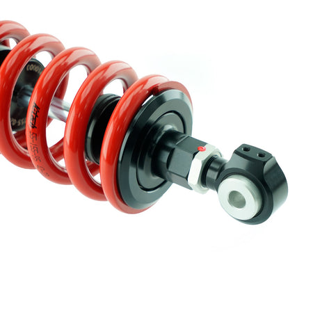 RCU DDS PRO Triumph Daytona 660 PHR LINK