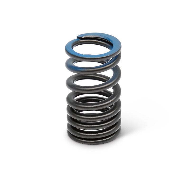 Kawasaki Kit Valve Spring Exhaust