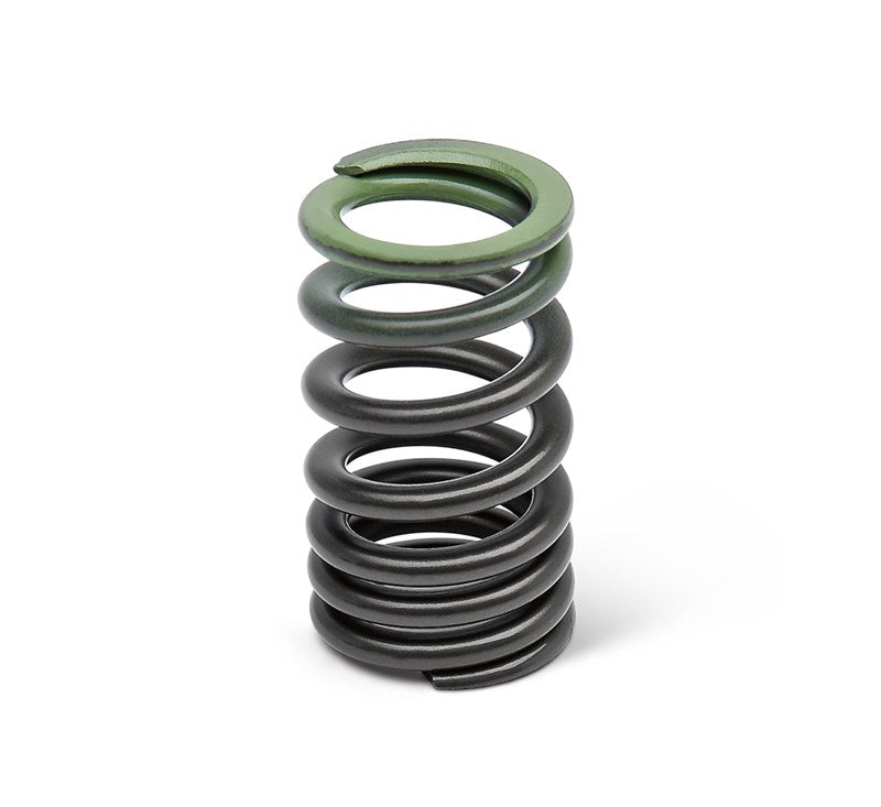 Kawasaki Kit Valve Spring Inlet