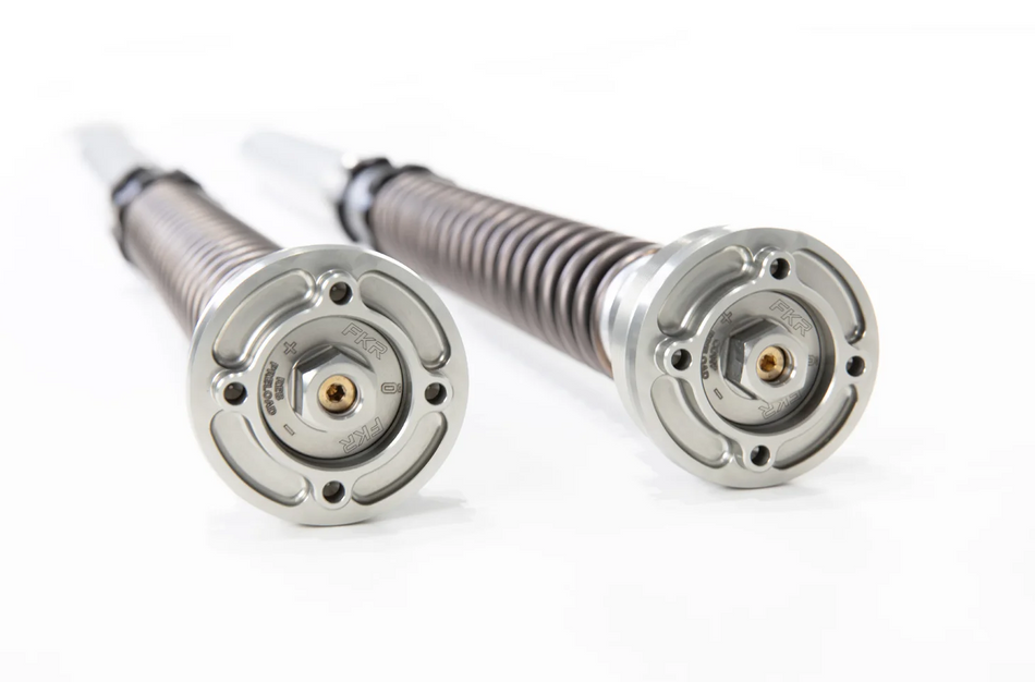 Ohlins Supersport TTX 25 Cartridge Kit Ducati Panigale V4R (Ohlins FL974 2022)