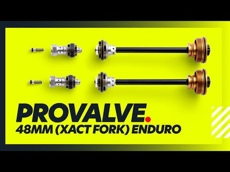 Front Fork ProValve 23.00 Cartridge WP 48.00mm XACT ENDURO/WOODS 2024>
